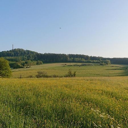 Ferienwohnung Am Hochkelberg Bereborn Esterno foto