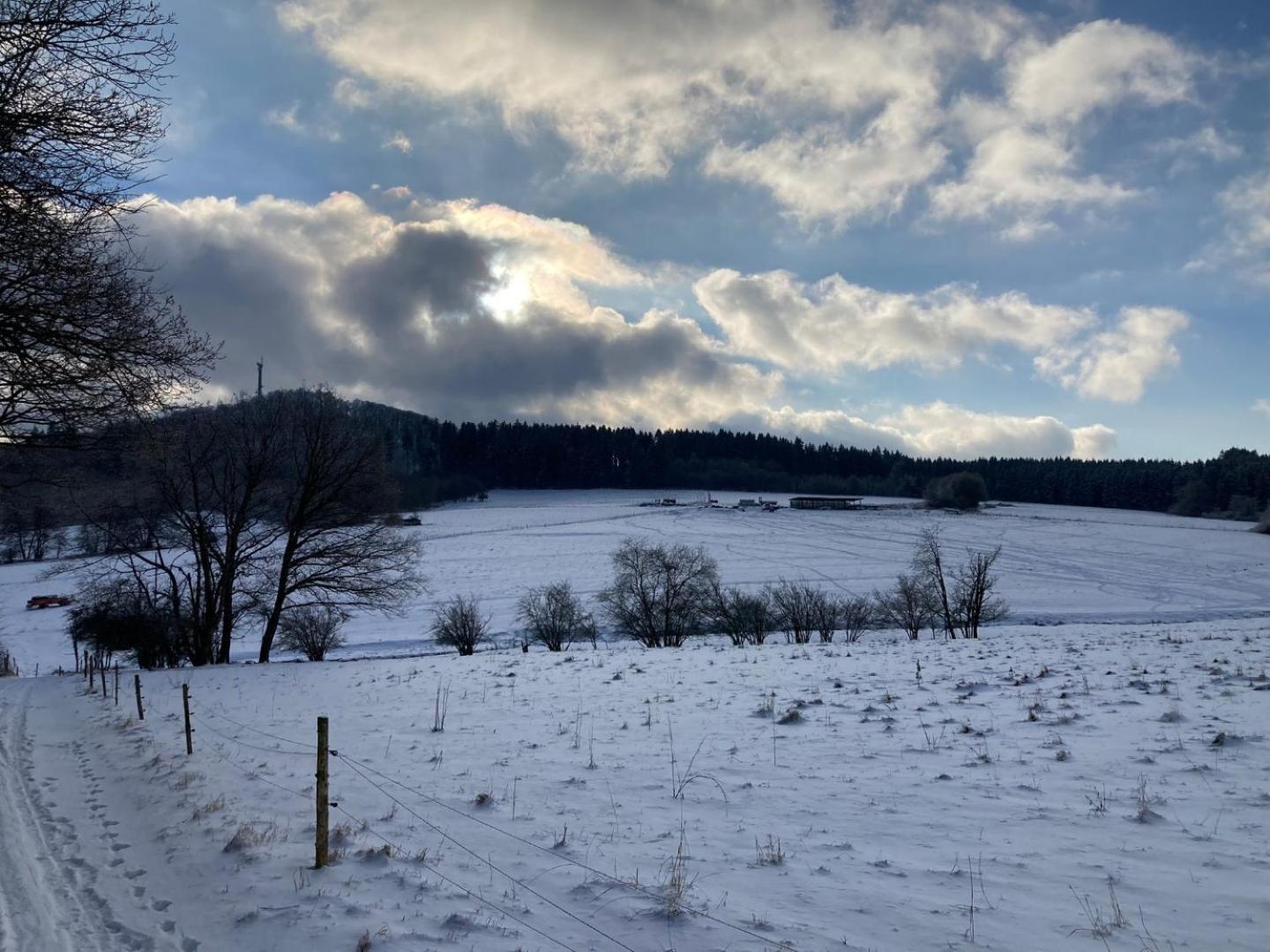 Ferienwohnung Am Hochkelberg Bereborn Esterno foto