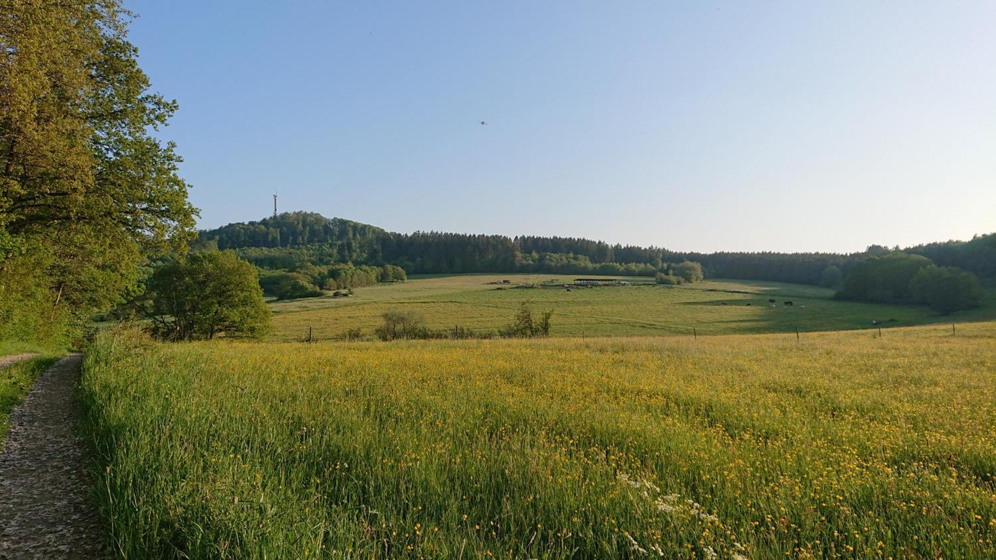 Ferienwohnung Am Hochkelberg Bereborn Esterno foto
